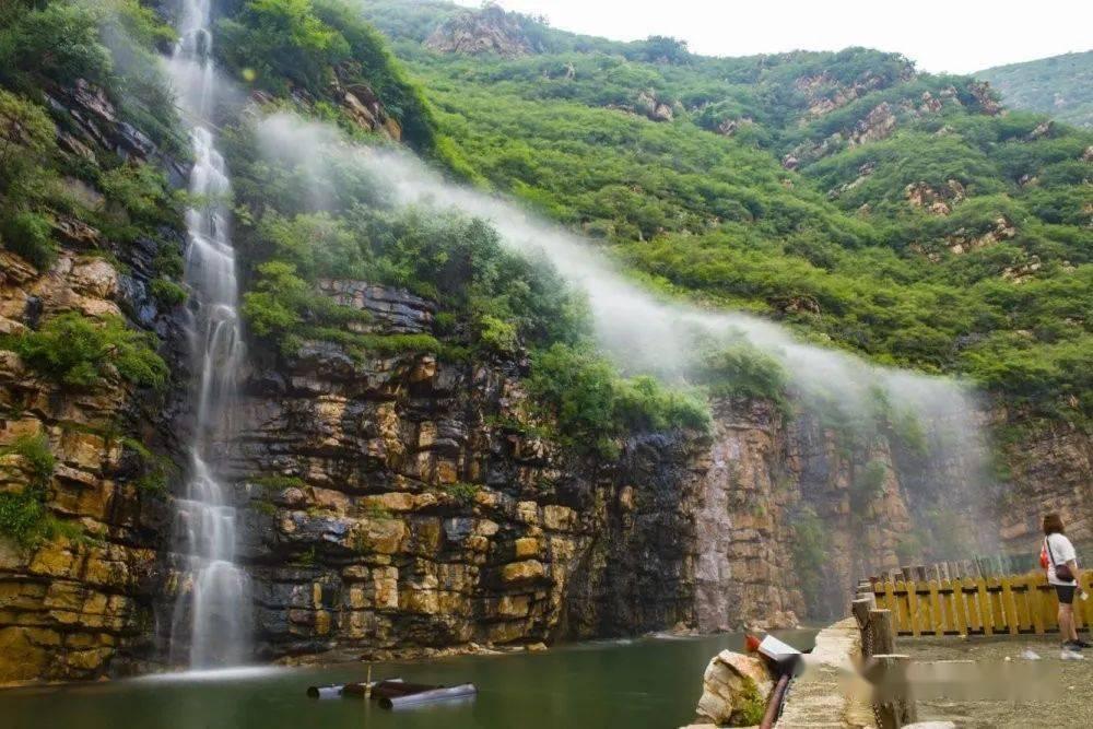 虎鲸为什么怕座头鲸